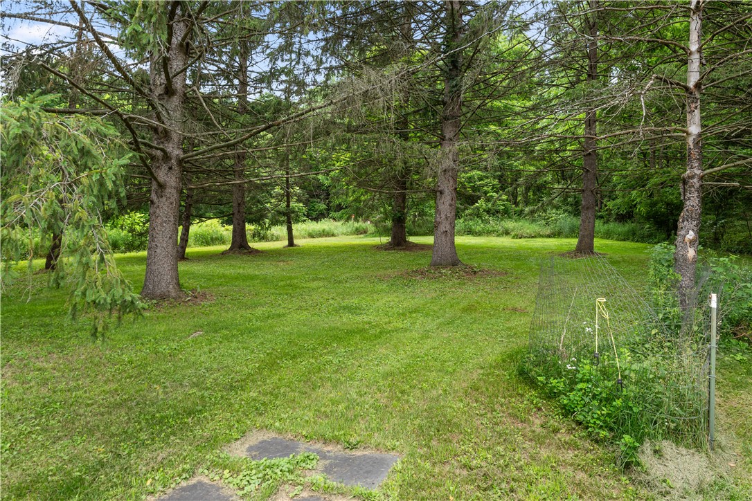 8071 Hunt Hollow Road Naples, NY 14512 - Photo 42 of 50