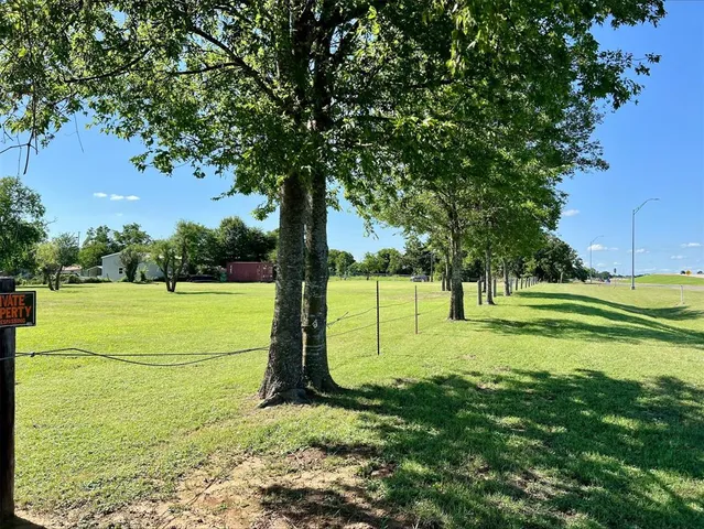 a view of a park with large trees