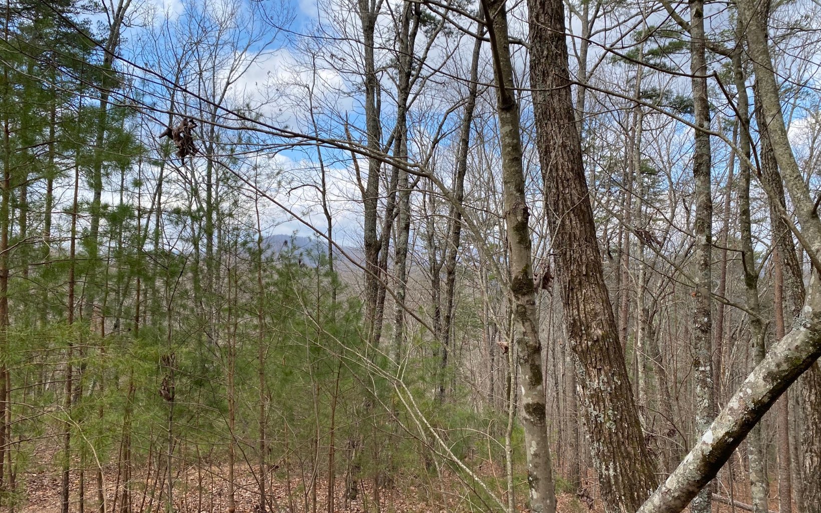 Lot7 Price Road Blue Ridge, GA 30513 - Photo 5 of 7 Additional View