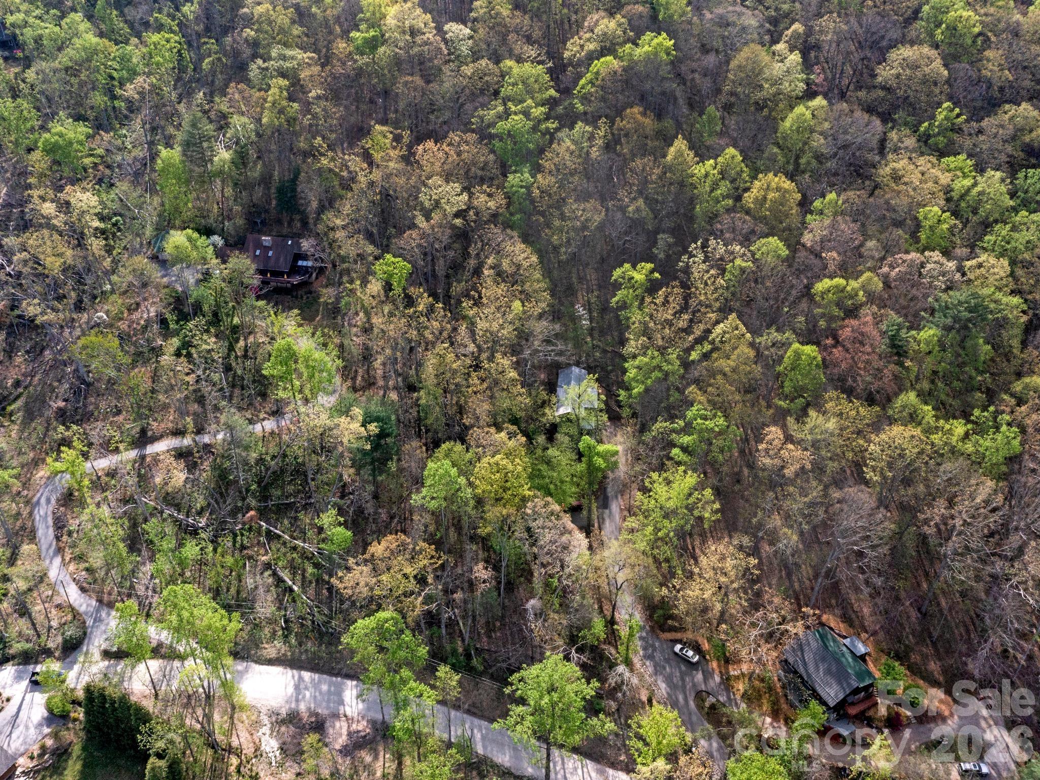 291 Webb Cove Road Asheville, NC 28804 - Photo 32 of 34 a view of a house with a tree