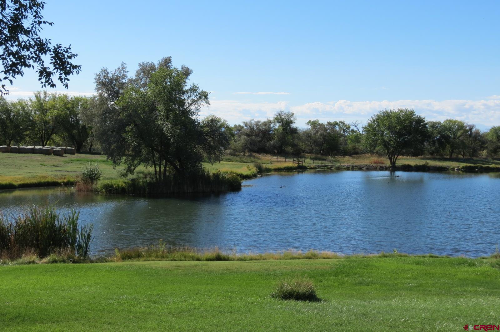 1499 Southwest Melinda Road Cedaredge, CO 81413 - Photo 31 of 35 a view of a lake with houses in the background