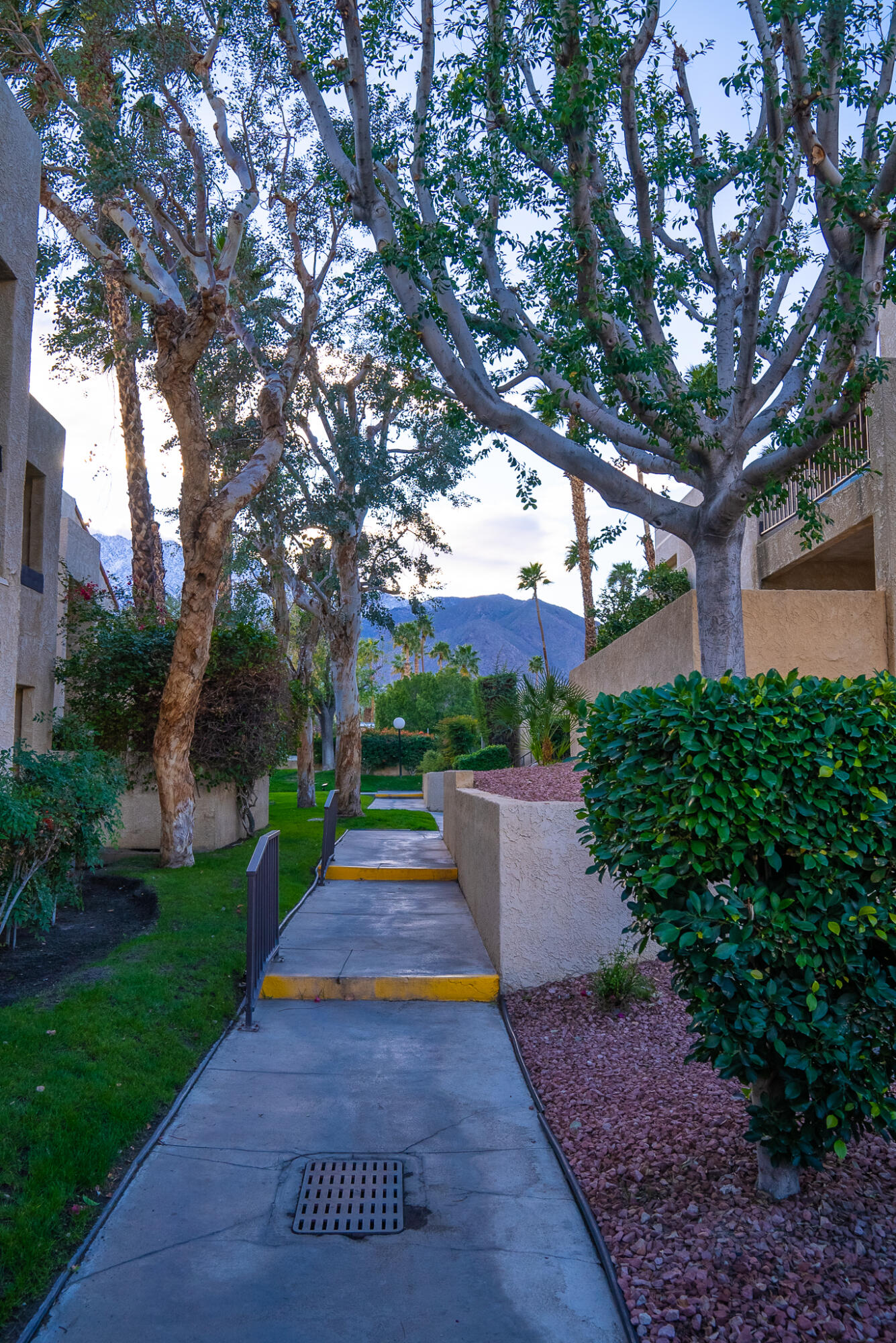200 East Racquet Club Road, Unit 24 Palm Springs, CA 92262 - Photo 41 of 58 a view of a yard with plants and trees