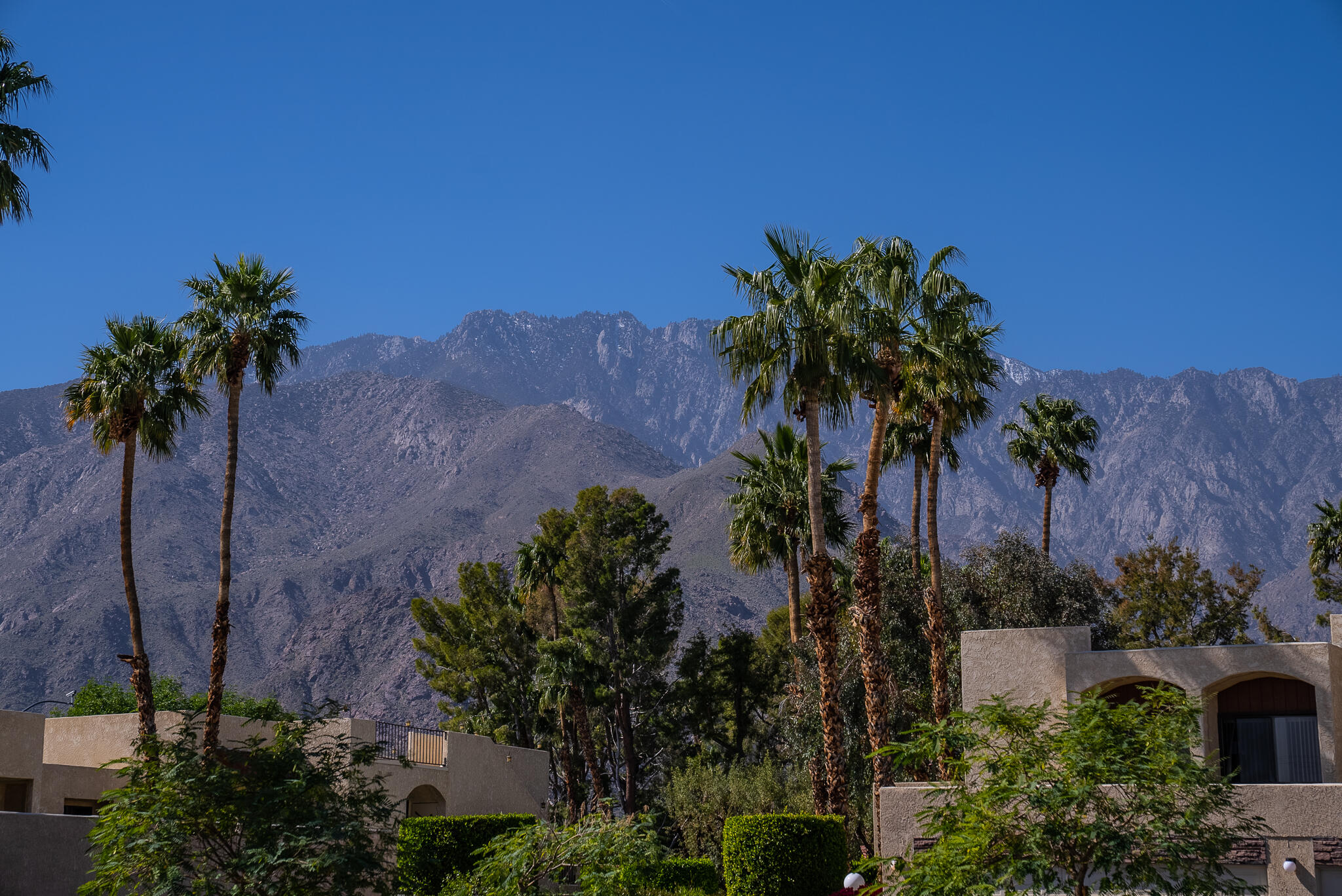 200 East Racquet Club Road, Unit 24 Palm Springs, CA 92262 - Photo 43 of 58 an aerial view of a house with a yard and palm trees