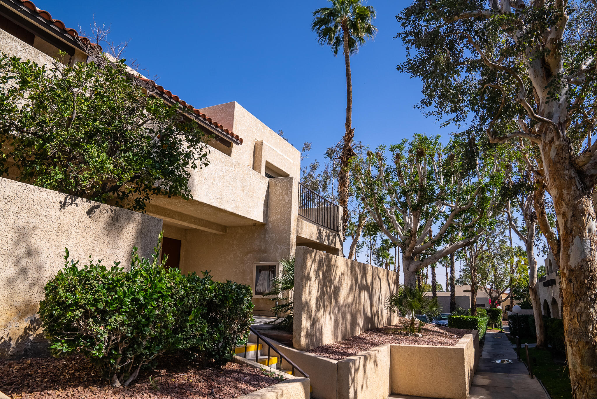 200 East Racquet Club Road, Unit 24 Palm Springs, CA 92262 - Photo 48 of 58 a view of a patio with couches and potted plants