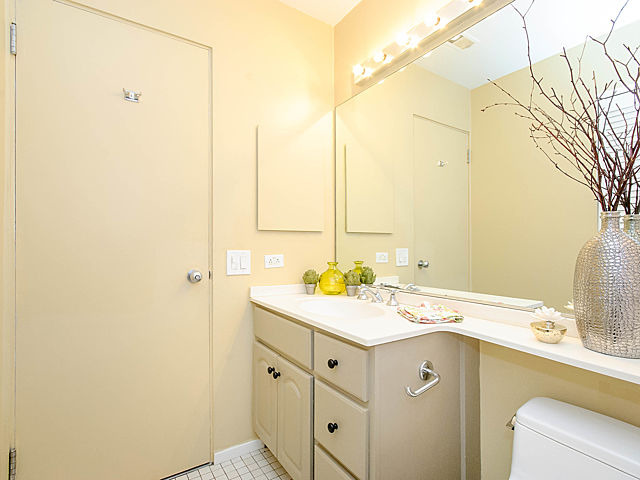 2730 North Racine Avenue, Unit 2S Chicago, IL 60614 - Photo 15 of 18 a bathroom with a sink and a mirror
