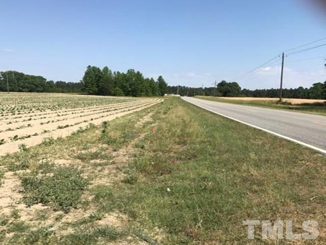 0 Strickland Road, Unit LOT# 2 Bailey, NC 27807 - Photo 3 of 4