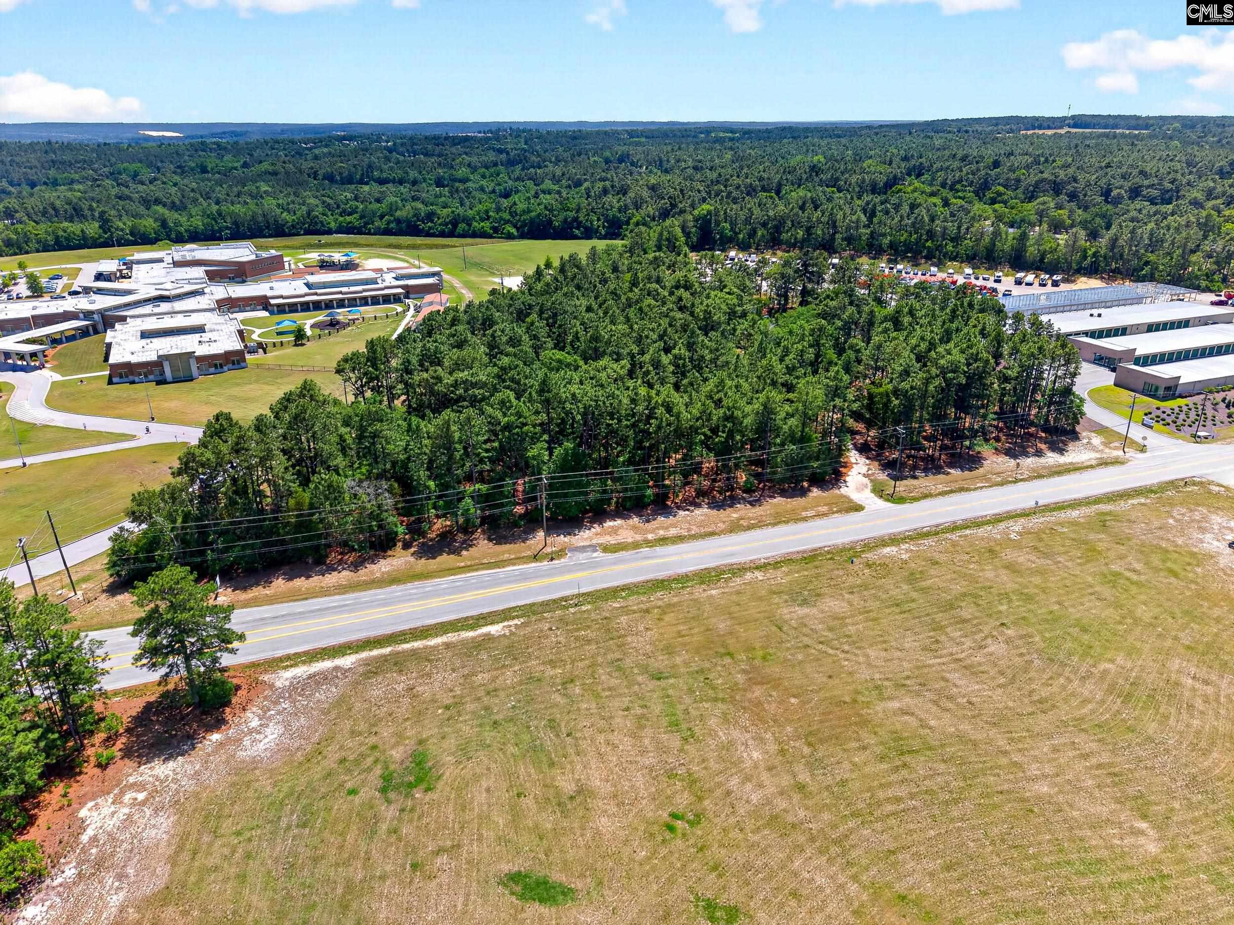 614 Longs Pond Road Lexington, SC 29073 - Photo 66 of 74