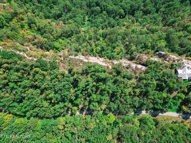 $115,000 | Lot 31 Mt Clouds Trail, Duff, TN 37729