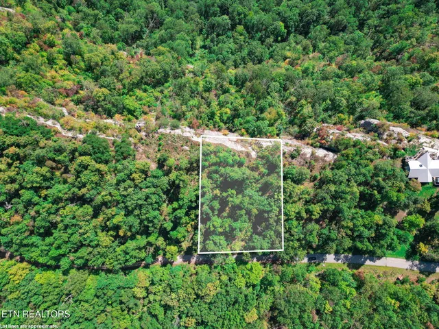 $115,000 | Lot 31 Mt Clouds Trail, Duff, TN 37729