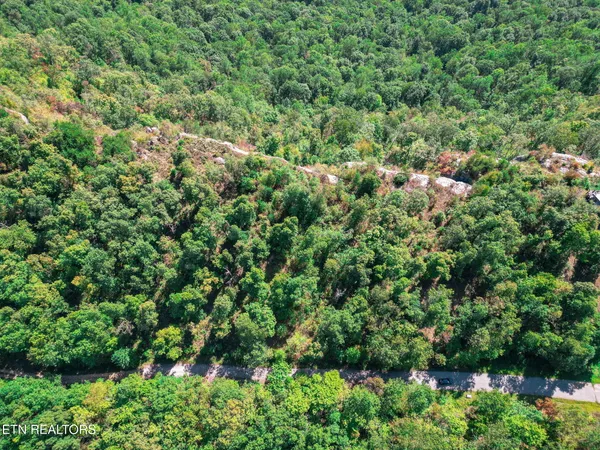 $114,900 | Lot 31 Mt Clouds Trail, Duff, TN 37729