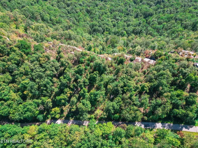 $115,000 | Lot 31 Mt Clouds Trail, Duff, TN 37729