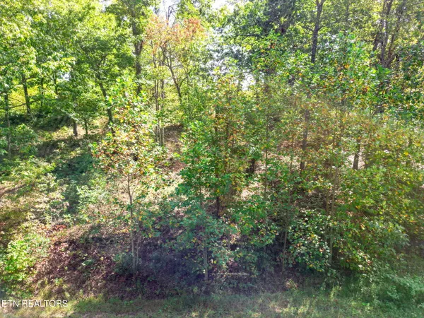 $114,900 | Lot 31 Mt Clouds Trail, Duff, TN 37729