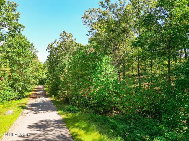 $115,000 | Lot 31 Mt Clouds Trail, Duff, TN 37729