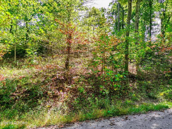 $114,900 | Lot 31 Mt Clouds Trail, Duff, TN 37729