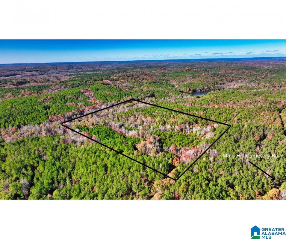 0 Cemetery Road Marion, AL 36756 - Photo 1 of 7