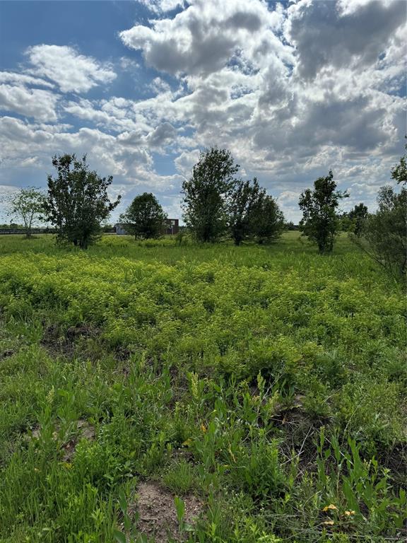 0 Road 22700 Road Paris, TX 75460 - Photo 11 of 15 a view of a green field