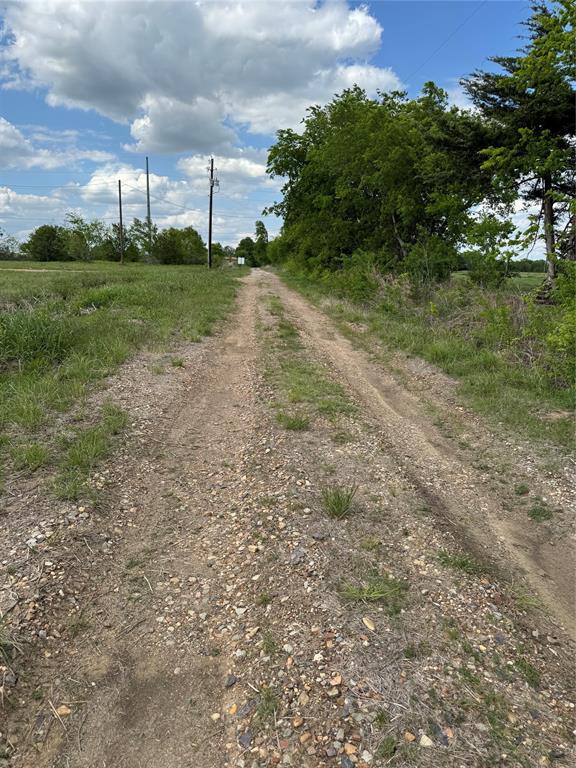 0 Road 22700 Road Paris, TX 75460 - Photo 14 of 15 a view of a big yard with plants and a large tree