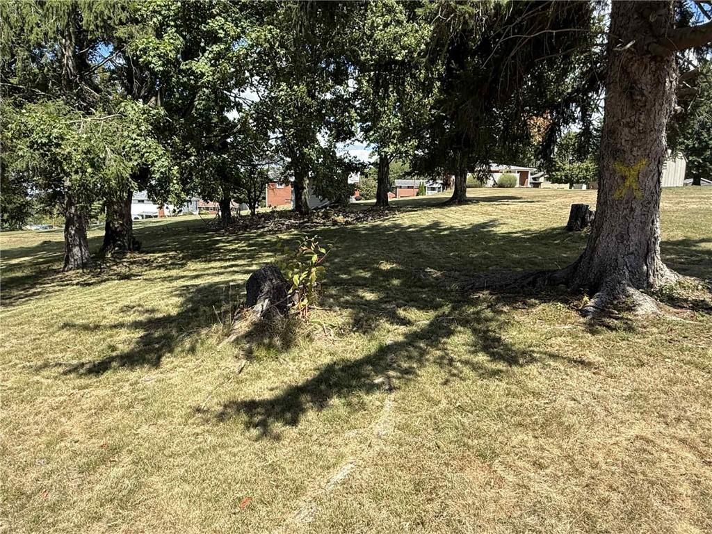 34 Lexington Avenue Uniontown, PA 15401 - Photo 10 of 29 a view of outdoor space with trees