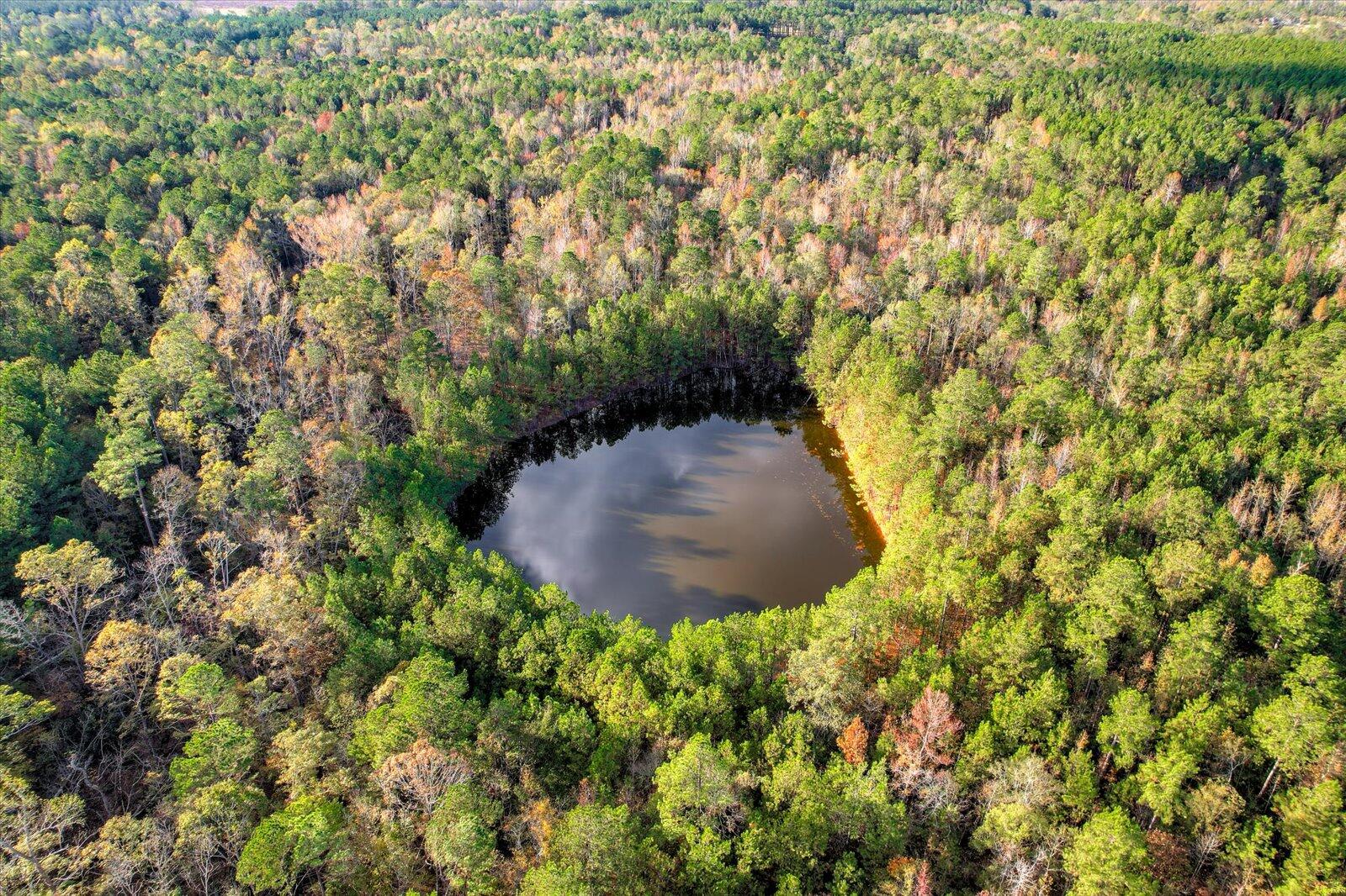 Tbd2 Tbd2 Sc-23 Edgefield, SC 29824 - Photo 33 of 41 31-131
