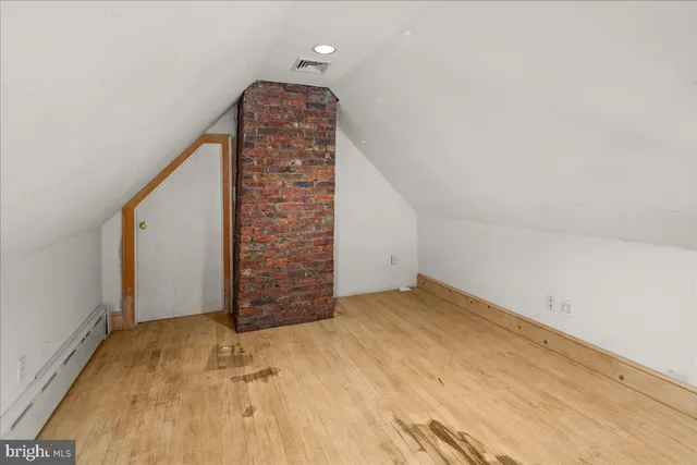 a view of a backyard with plants and large trees