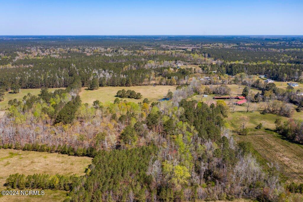 884 Cheshire Road Rocky Point, NC 28457 - Photo 7 of 29 DJI_0129.jpg-SMALL