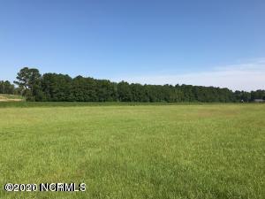 0 Old Snow Hill Road Ayden, NC 28513 - Photo 3 of 3 Land