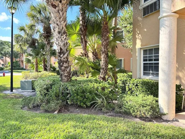 a view of a garden with a tree