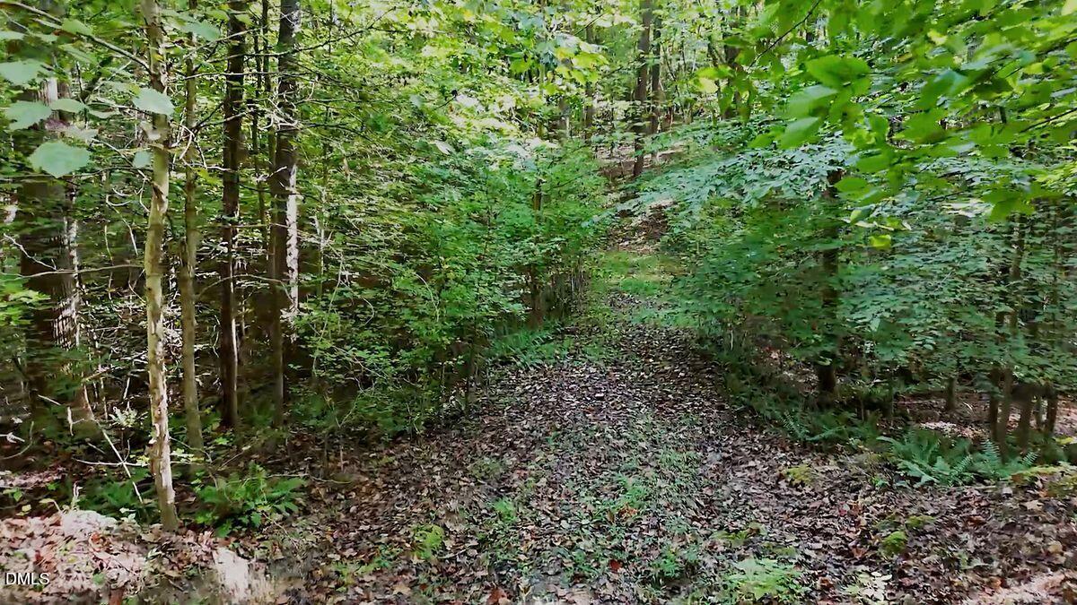 5640 Blackhawk Road Raleigh, NC 27613 - Photo 2 of 4 a view of a forest with lots of trees
