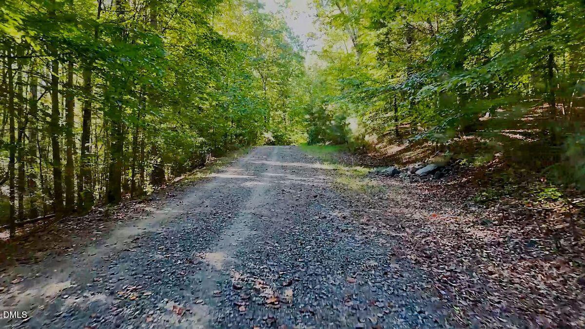 5640 Blackhawk Road Raleigh, NC 27613 - Photo 4 of 4 a view of a yard with large trees