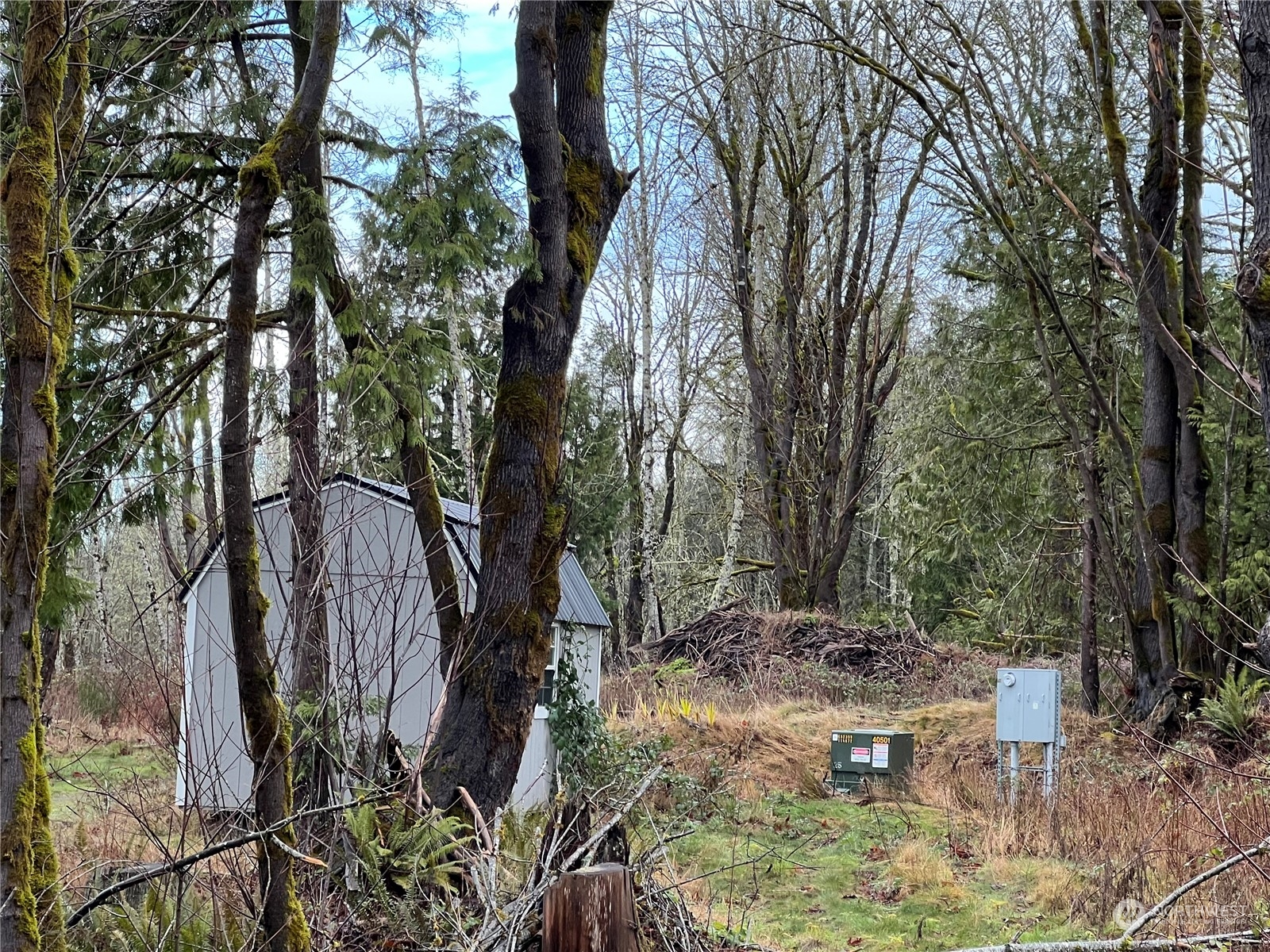 148 Tree Haven Road Quilcene, WA 98376 - Photo 15 of 16 Gallery Image 15