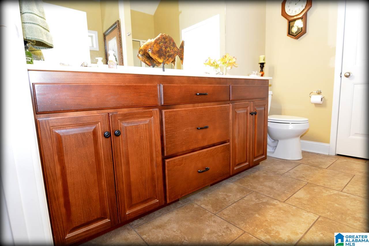 2317 Hamilton Road Pell City, AL 35128 - Photo 23 of 50