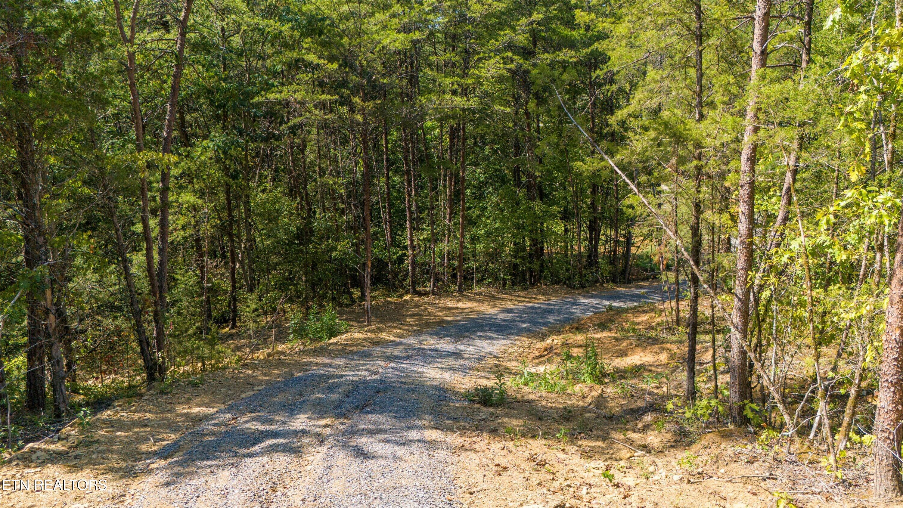 4536 6 Mile Road Maryville, TN 37803 - Photo 3 of 10 4536 Six Mile