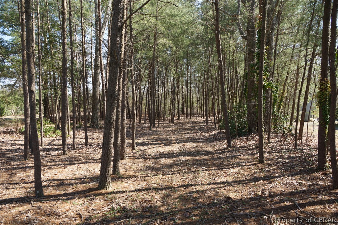 0 Spring Cove Lane Topping, VA 23169 - Photo 7 of 9