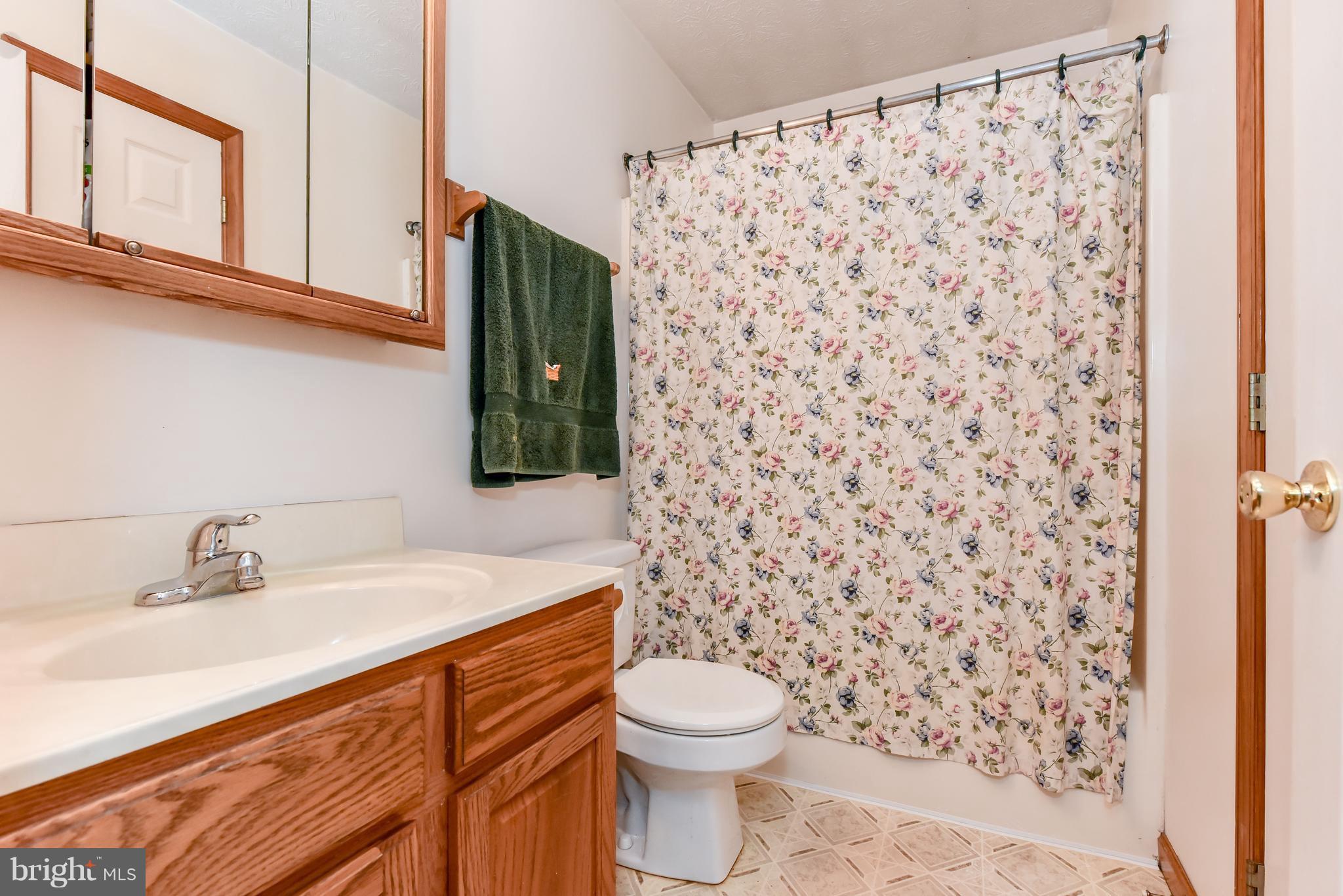 215 Codjus Drive Rising Sun, MD 21911 - Photo 11 of 18 Bath 1