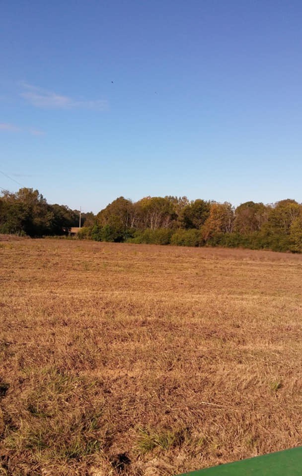 0 Johnny Murphy Road Dothan, AL 36301 - Photo 3 of 9