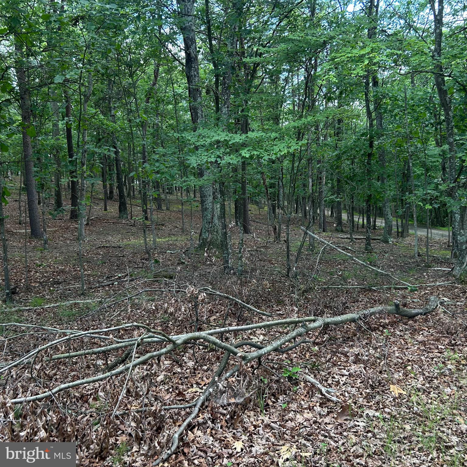 0 Headsville Road Keyser, WV 26726 - Photo 44 of 46