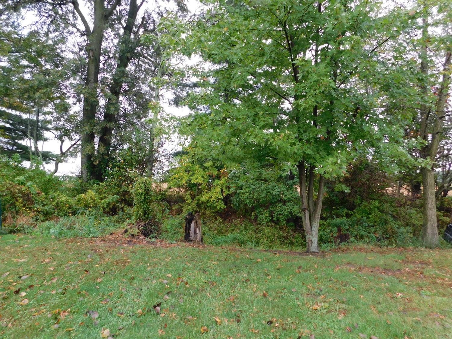 9102 Estates Drive Demotte, IN 46310 - Photo 11 of 30 1500x1124