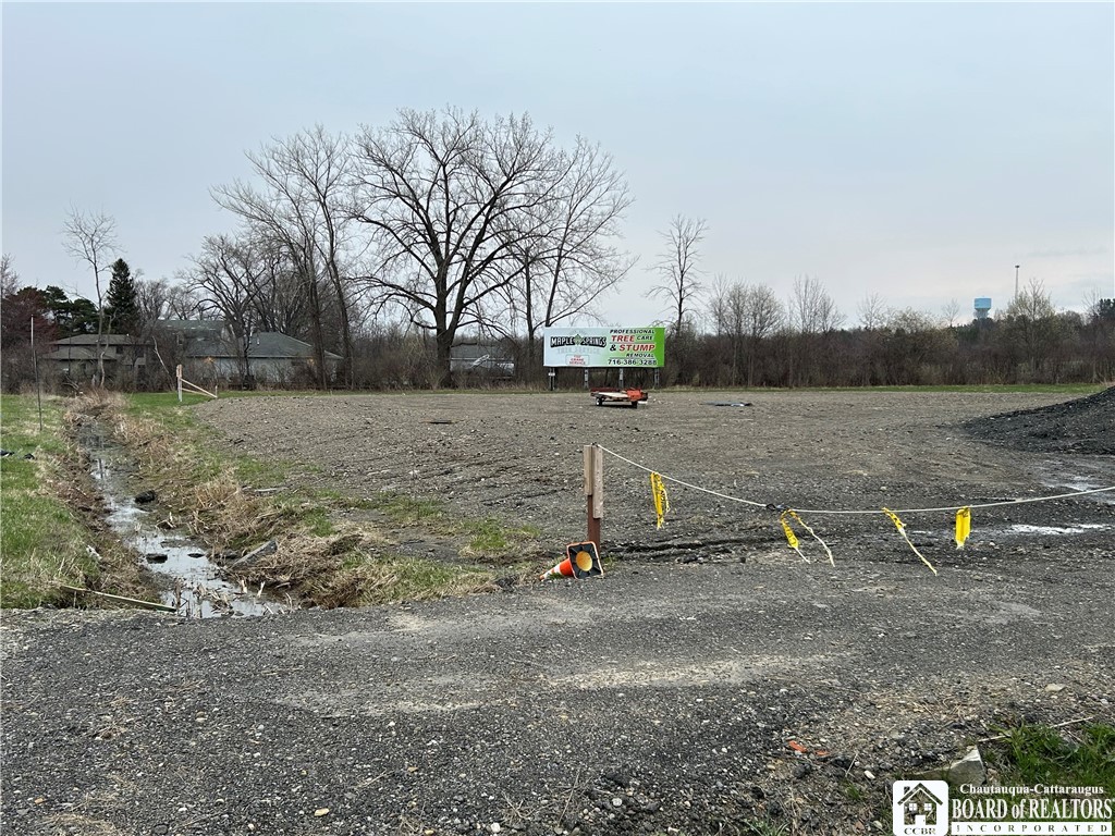 5 Hanover Street Hanover, NY 14136 - Photo 1 of 8