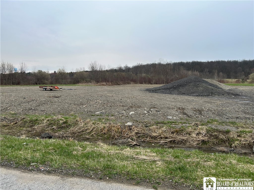 5 Hanover Street Hanover, NY 14136 - Photo 3 of 8