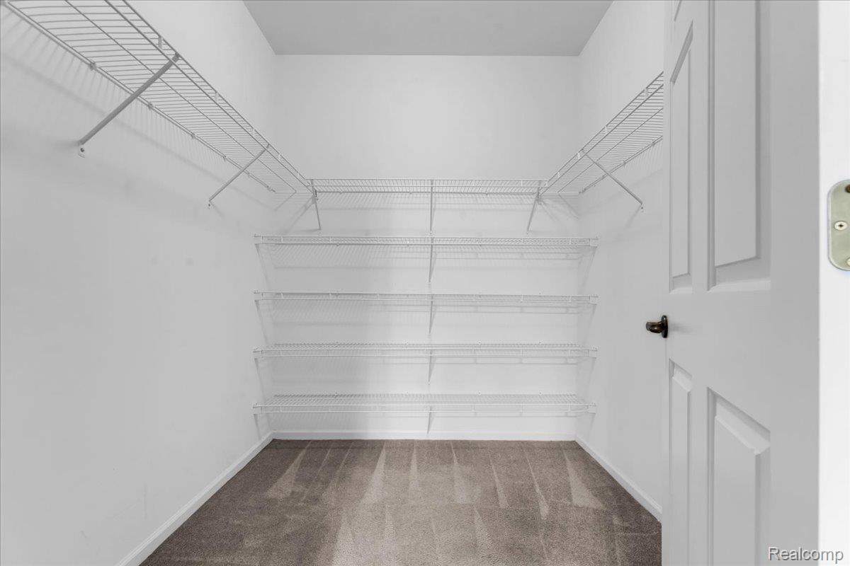 1150 Rial Lake Drive Howell, MI 48843 - Photo 18 of 24 Primary Bedroom Closet Walk-in closet featuring wire shelving and carpet flooring