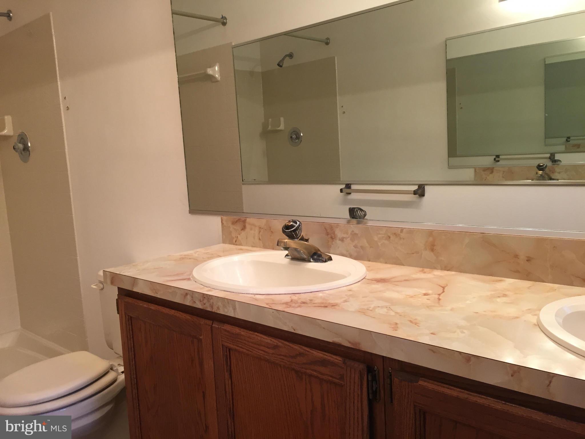 12371 Hunters Grove Road Manassas, VA 20112 - Photo 17 of 30 Bath (Master)