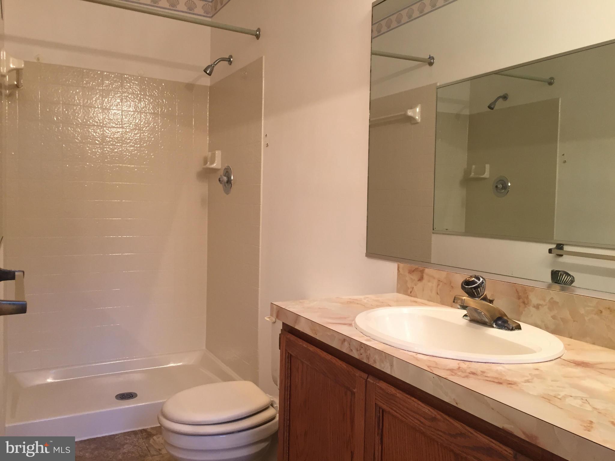 12371 Hunters Grove Road Manassas, VA 20112 - Photo 18 of 30 Bath (Master)