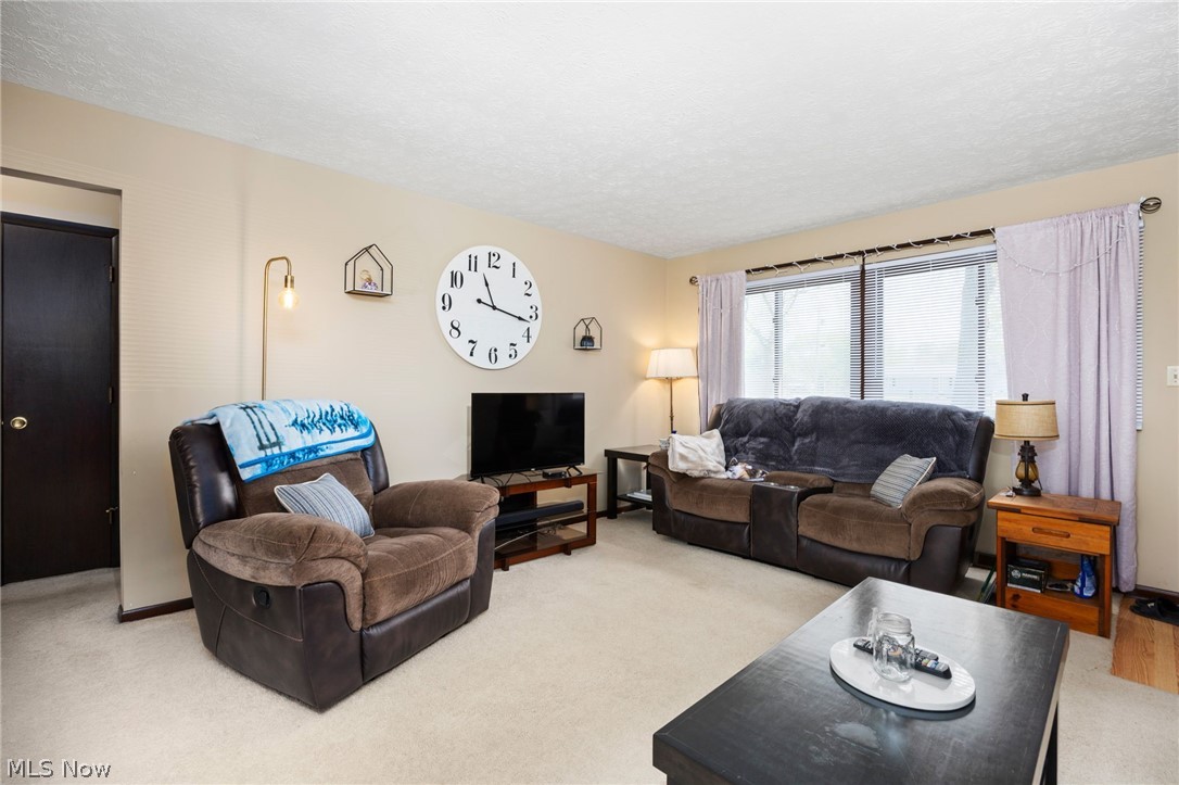 14172-14174 Hametown Road Doylestown, OH 44230 - Photo 21 of 50