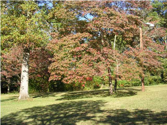 2104 Morris Hill Road Chattanooga, TN 37421 - Photo 5 of 5 Additional Photo