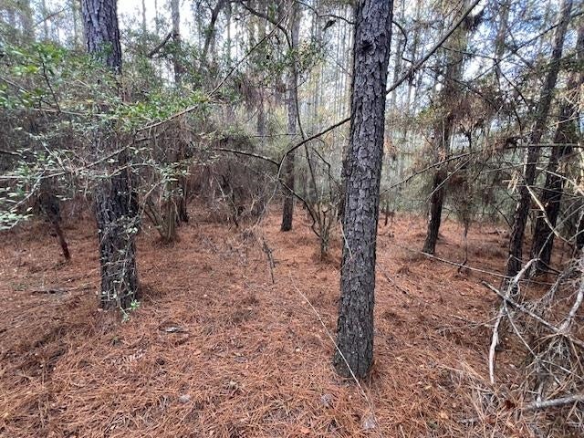25-ac Smyrna Road Florala, AL 36442 - Photo 28 of 36 Gallery Image 28