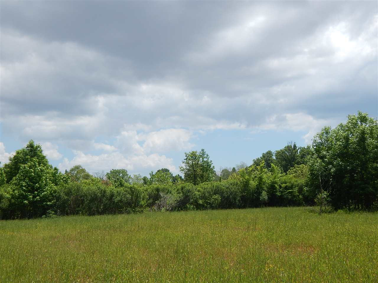 0 County Barn Road Louise, MS 39097 - Photo 3 of 8 Photo 3