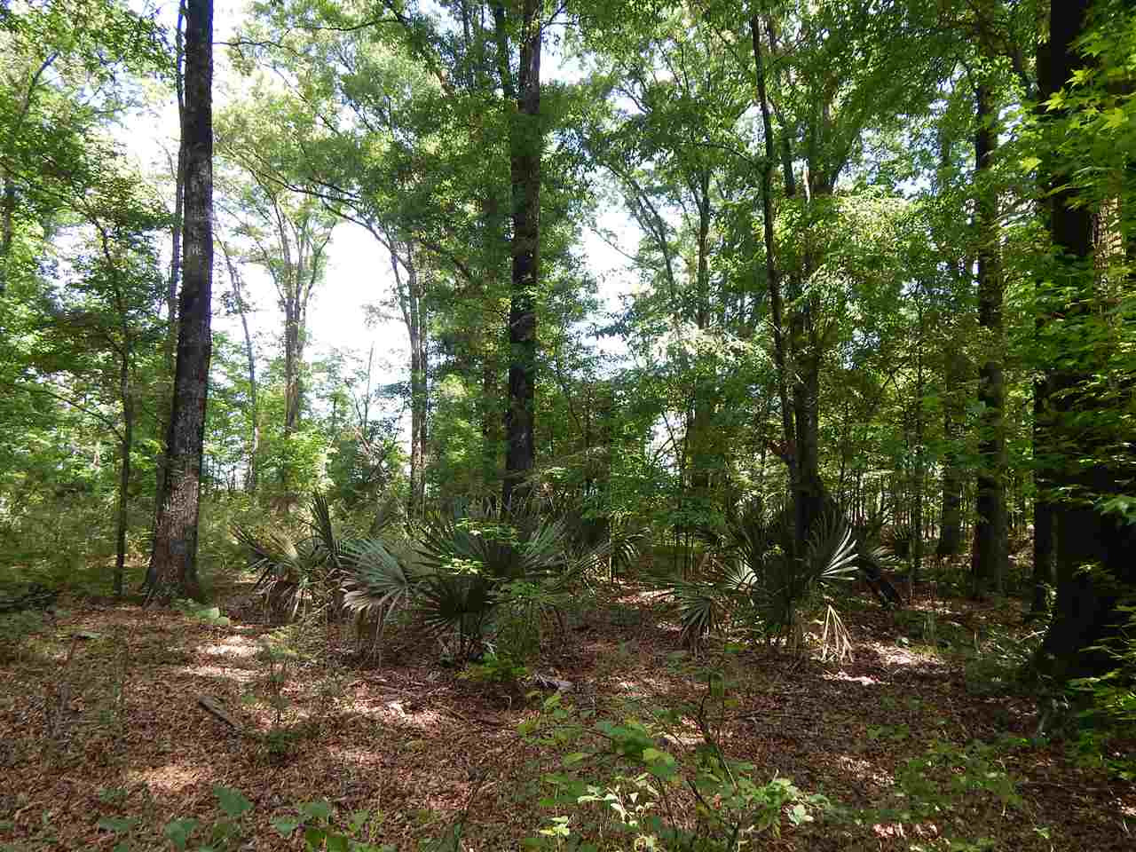 0 County Barn Road Louise, MS 39097 - Photo 6 of 8 Photo 6