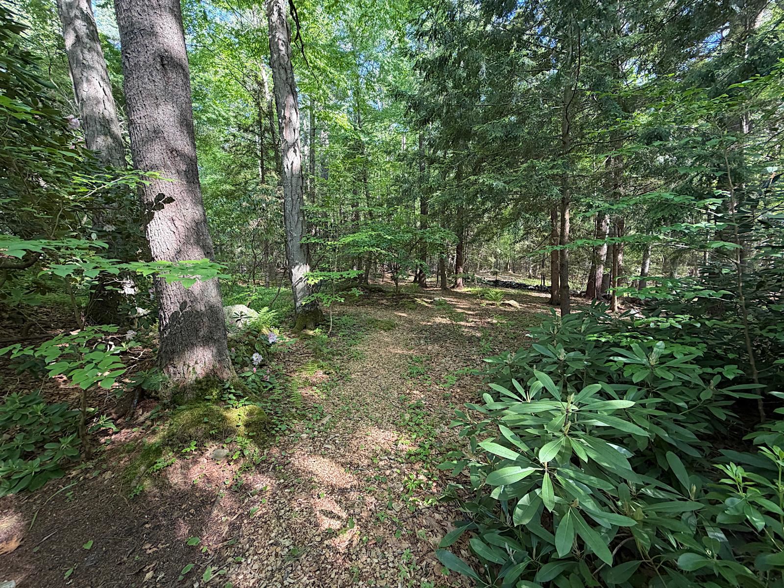8 Shiprock Road North Hampton, NH 03862 - Photo 33 of 40