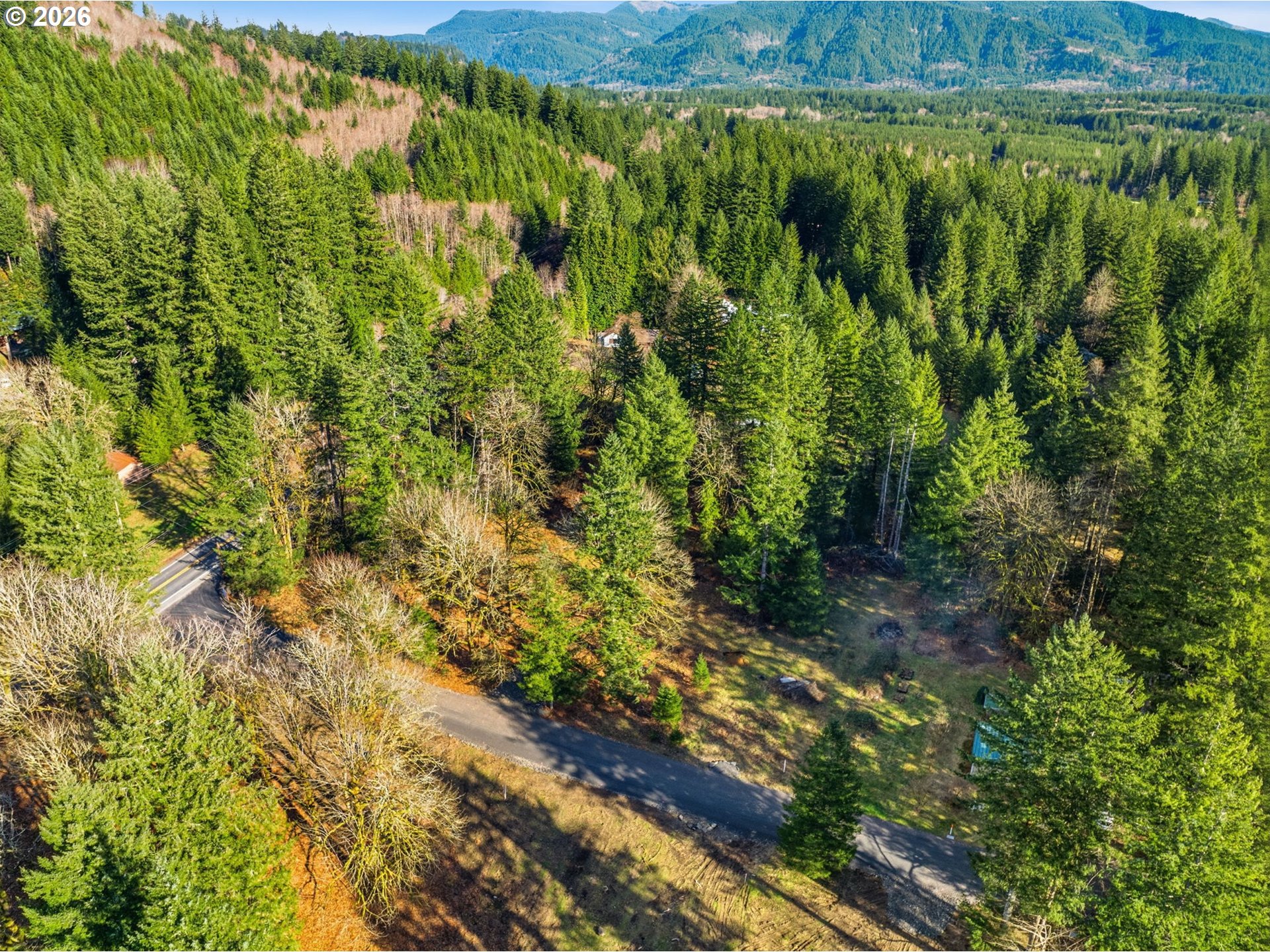 158 Windsock Road, Unit 1 Ariel, WA 98603 - Photo 3 of 5