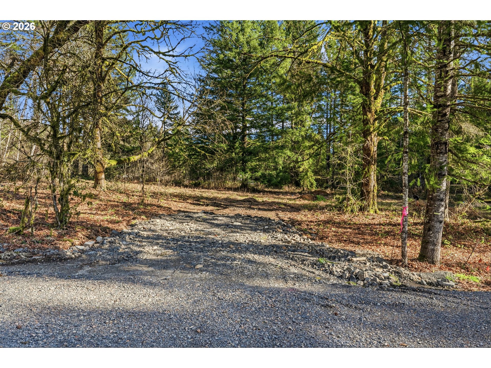 158 Windsock Road, Unit 1 Ariel, WA 98603 - Photo 4 of 5